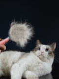 Escova Grooming para Pets