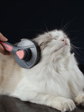 Escova Grooming para Pets