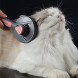 Escova Grooming para Pets