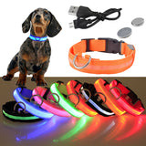 Coleira Led pra Cachorro  - Usb Recarregável